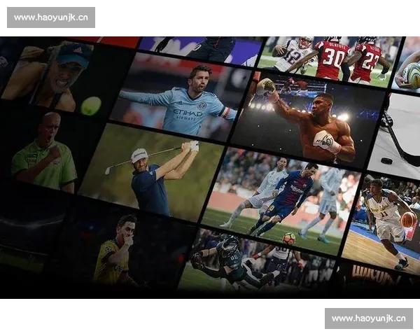 全方位解析体育平台功能与服务提升 用户体验至上